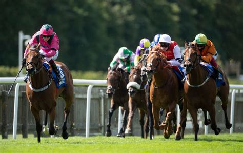 horse racing results today uk|saturday horse results all tracks.
